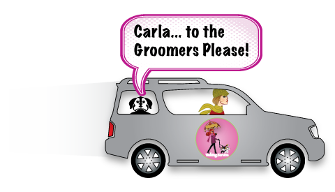 groomer shuttle